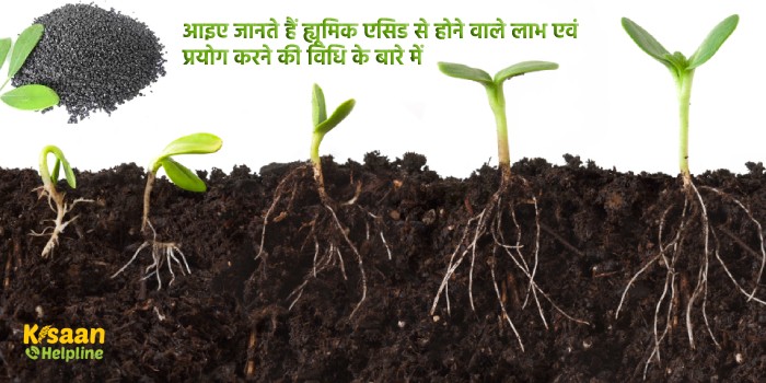 आइए जानते हैं ह्यूमिक एसिड से होने वाले लाभ एवं प्रयोग करने की विधि के बारे में